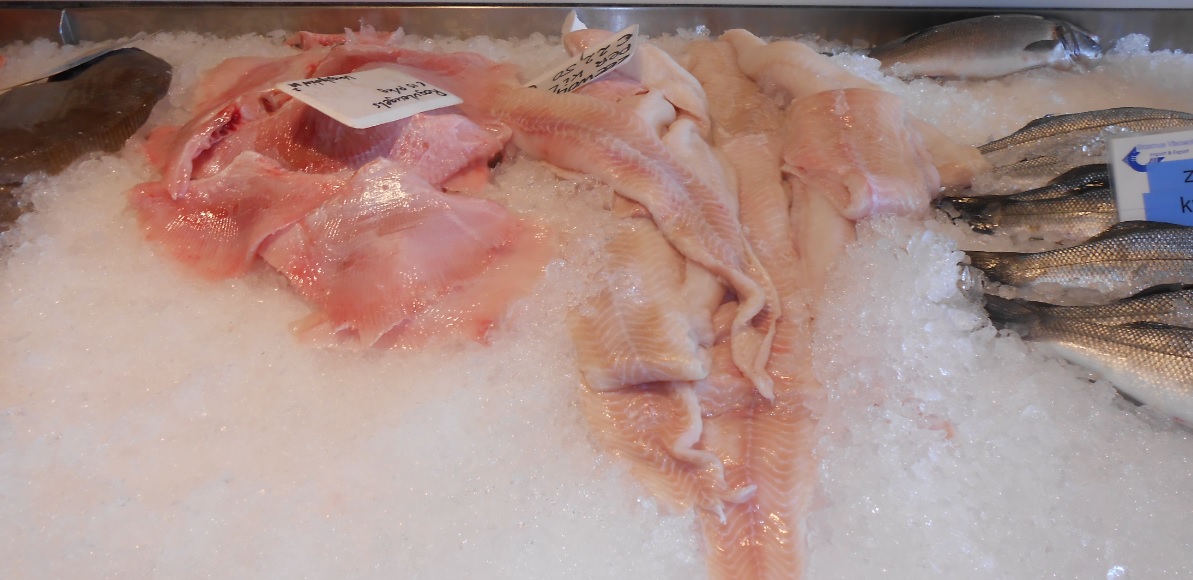 Fisch in Belgien